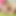 VENUS MEDIA - TEENS
