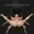 Bondage Chronicles BDSM