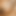XhairyCam