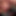 Bukkake Orgy Channel