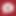 Stripchat official
